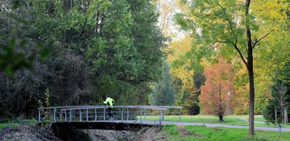 Man running in green area Haarlemmermeerse Bos 