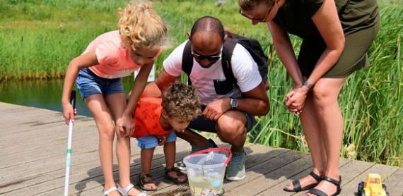 Father and children looking for small animals in the water