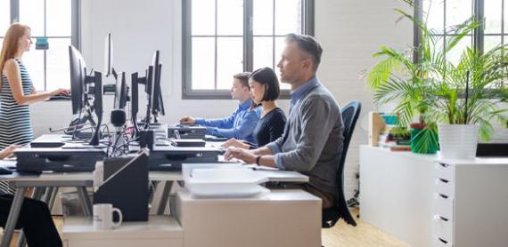 Employees at work behind their computers 