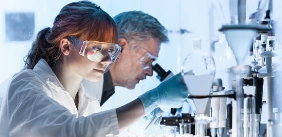 Employees looking through a microscope in a laboratory